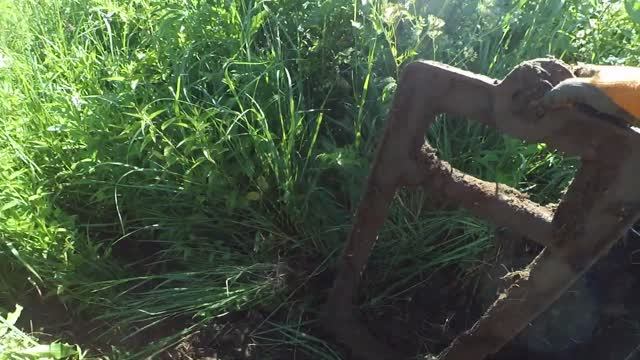 CДАЕМ НАКОПЛЕННУЮ МЕДЬ!!!