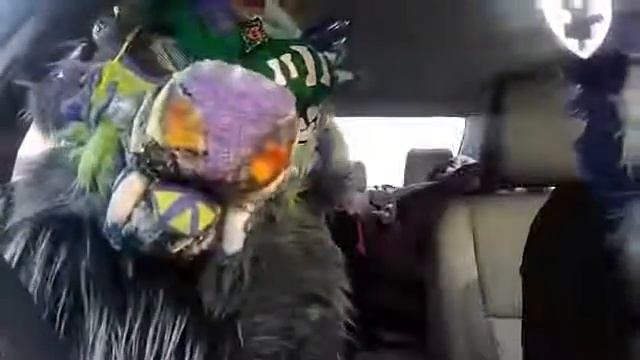 Dr. Wolfenstein And Blueberry Fun Time