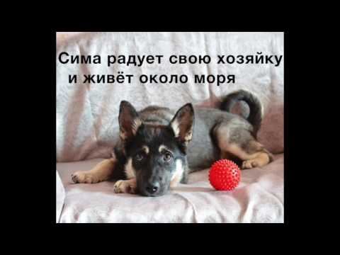 Счастливые истории 2016