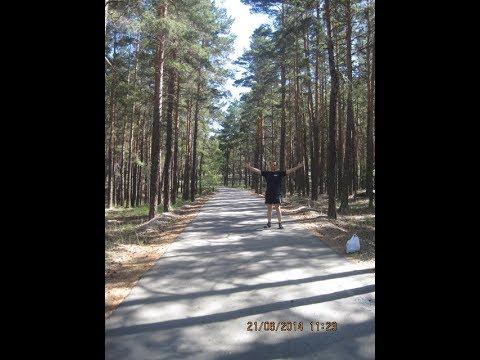 23 мая 2010 г. Троица в папарке им.Ю.А. Гагарина. Духовой оркестр.