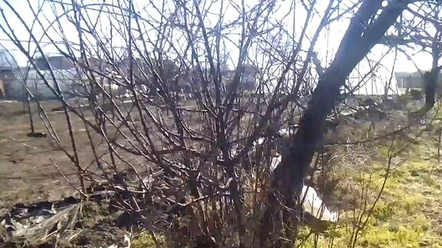 Вьетнамцы
