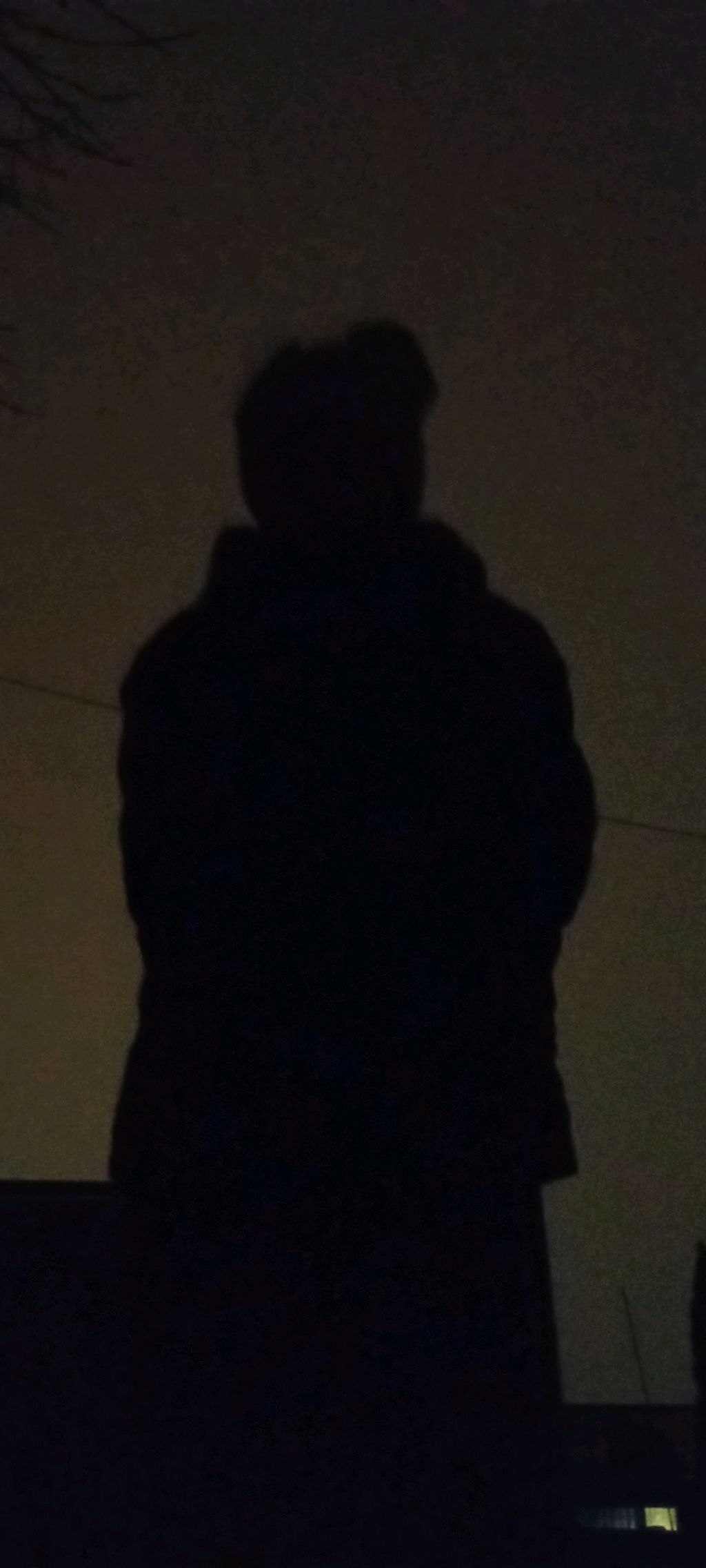 дома я 1 (без Стеши )