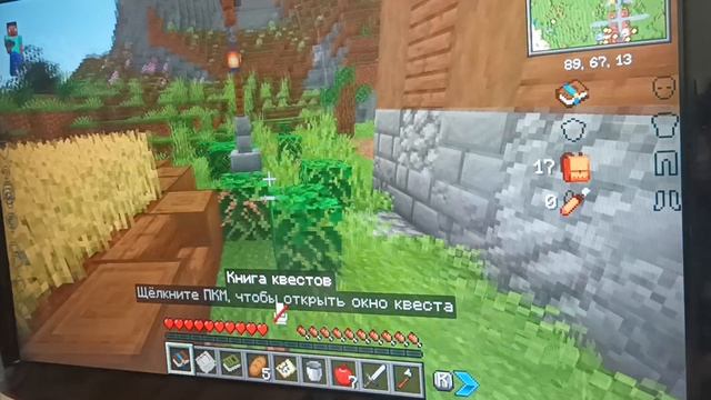 Выживание в Майнкрафте. злобные птицы