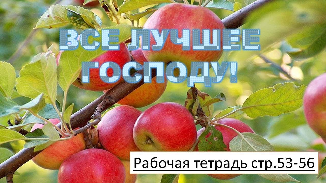 Воскресная школа (14.02.21)