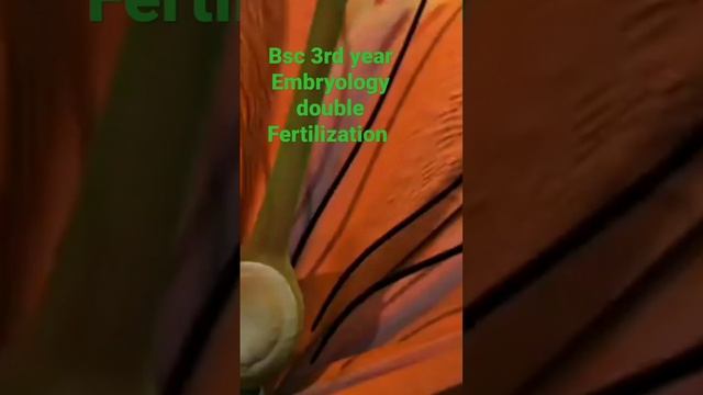 429dd98ab38a002a2b24c5b8b7de3de3