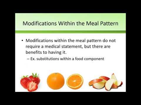Meal Accommodations In School Nutrition Programs SY21