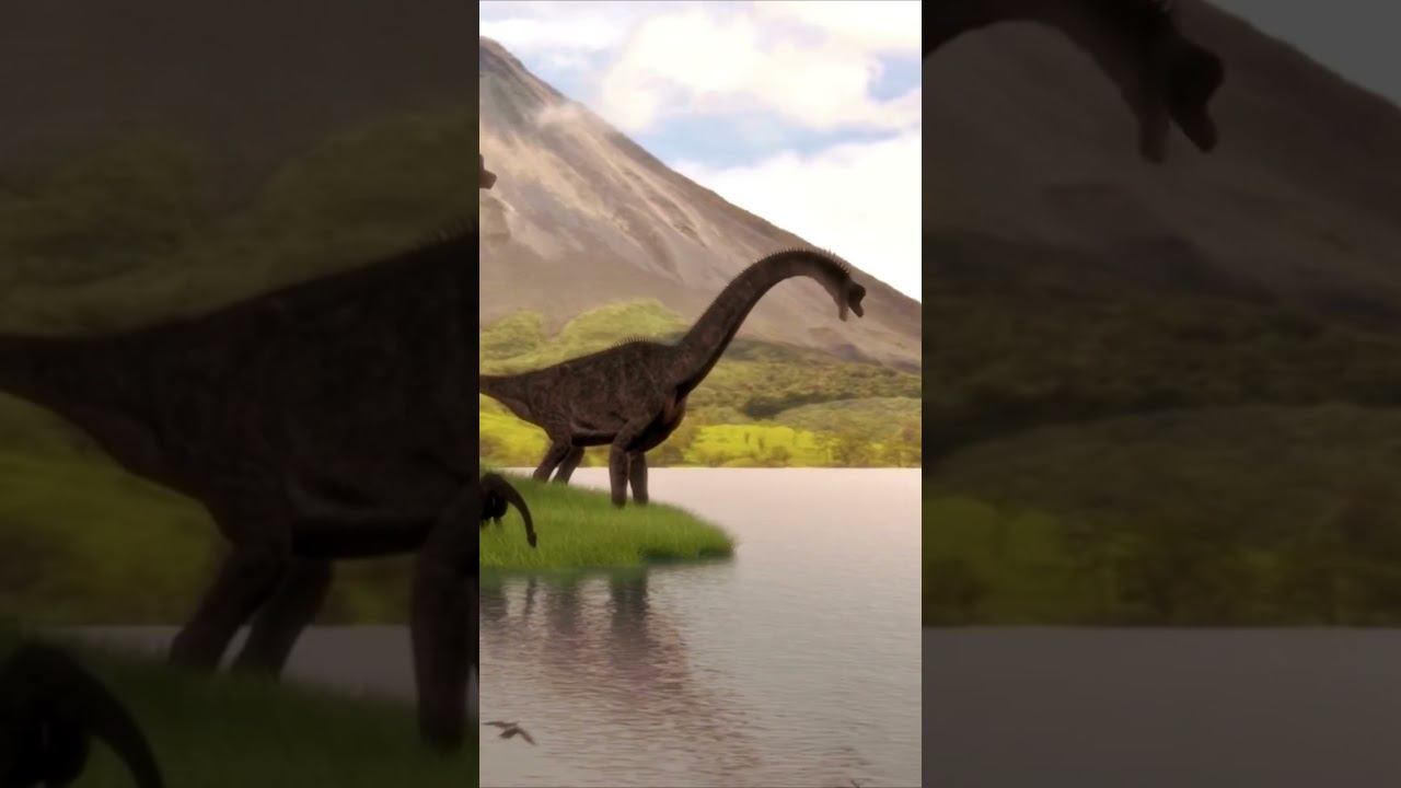 E639052cffadb6811f35f1d7c111a418