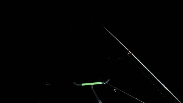 Фидерный дайджест. История одной рыбалки. Ловля леща ночью в конце марта. Поймаем ли?