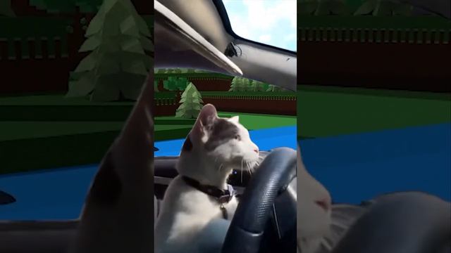 ⛵#мем ⛵ПОСТРОЙ КОРАБЛЬ И НАЙДИ СОКРОВИЩЕРОБЛОКС ROBLOX⛵BUILD A BOAT FOR TREASURE#catdriving #meme