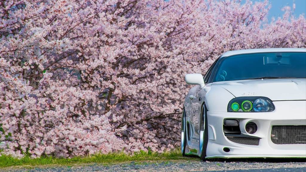 Трек-Волга Бпан