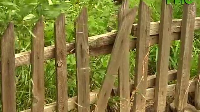 Бабушки проверили на прочность новые лавочки