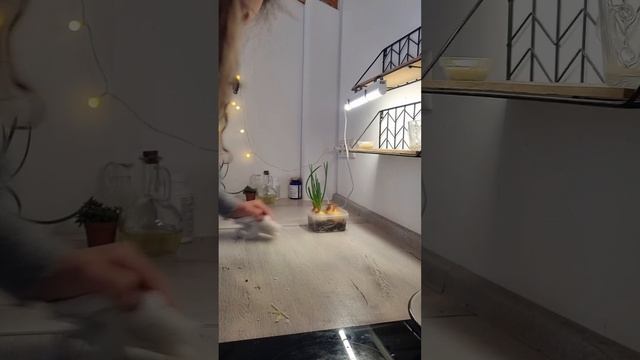 А у вас какие ошибки?