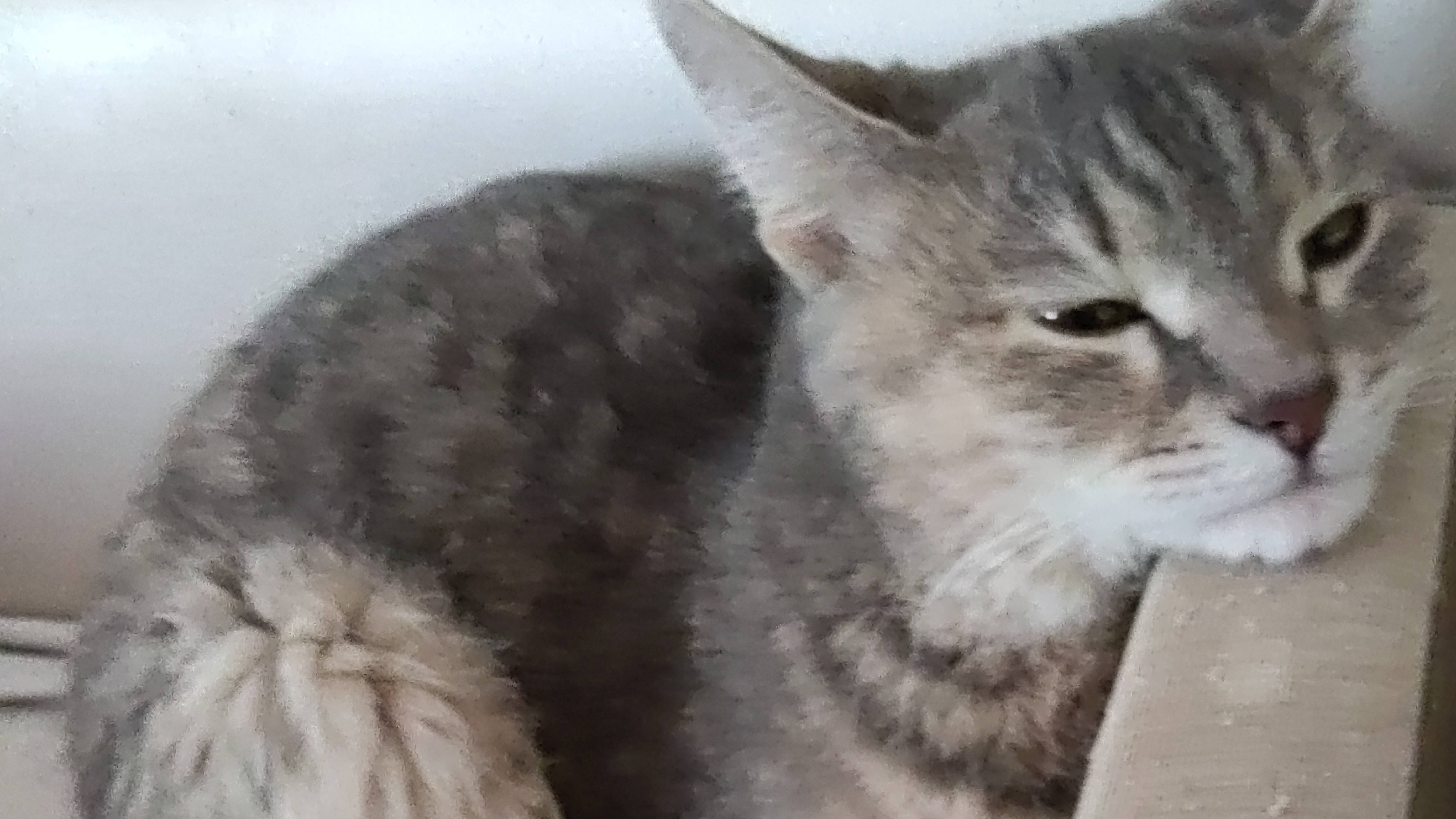 Вот токое у меня смешное видео получилось🤣🤣🤣🤣🤣🤣