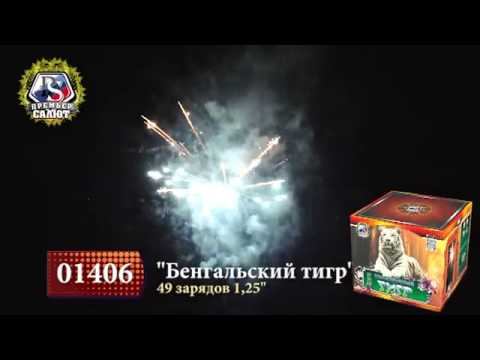 01406 Батарея салютов 