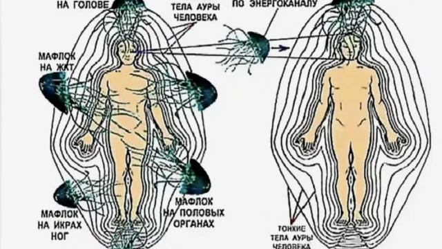 Школьные занятия