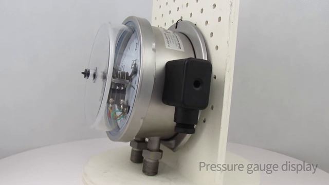 PRBD | Differential Pressure Gauge, Bellow Tube, 6