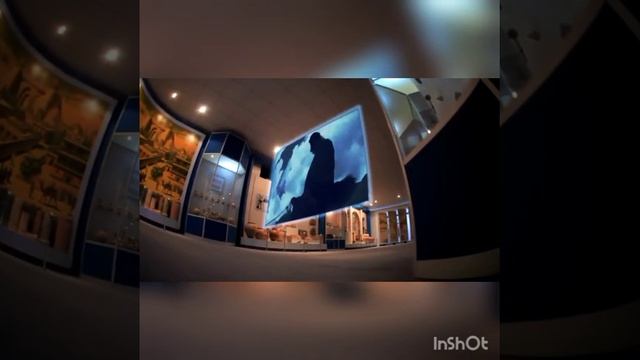 Сауда тарихы. Ұлы Жібек жолы - сауда мәдениетінің өркендеу биігі.
