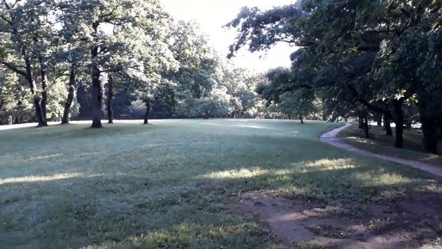 Утренний птичий пир. Отличное начало дня! Скамейка желаний.