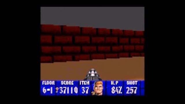 Let's Play ~ Wolfenstein 3D (Part 24)