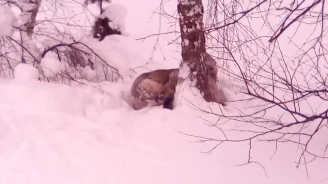 Воспитательные игры