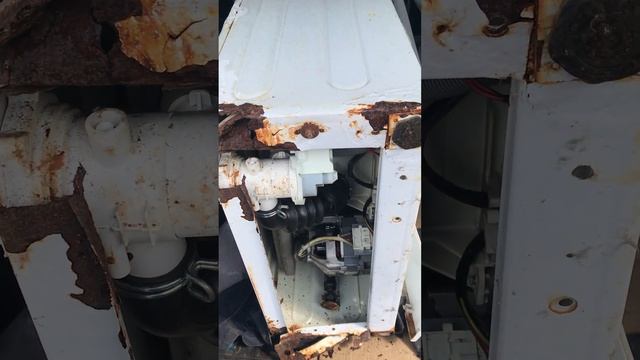 18 августа 2024 г.