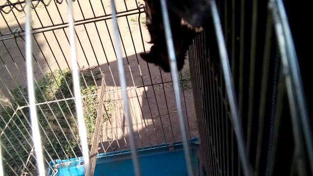 370c8c29a8eda310322f4252fd732000