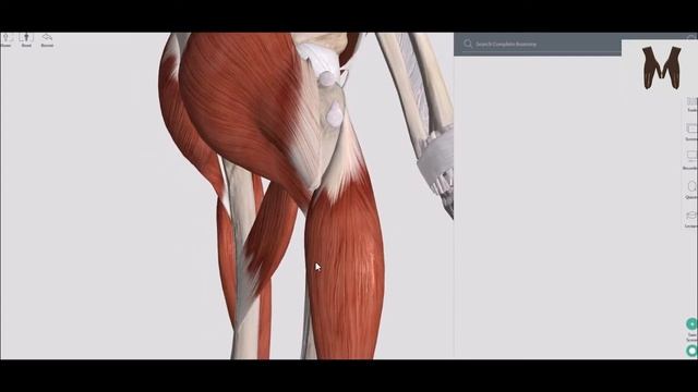 11 ноября 2021 г.