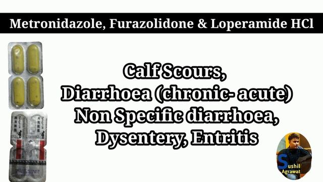 Metronidazole, Furazolidone, Loperamide HCL Uses In Veterinary !!