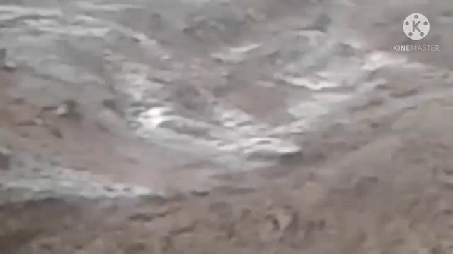 😱Дахшат Сели Калон Н Чиликул😱