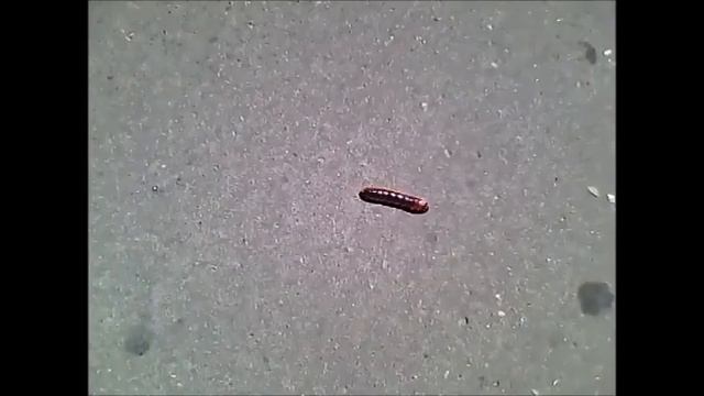 6aa7c731e76d80660954045d15f396df