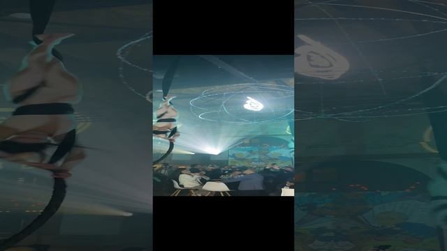 Воздушные гимнастки на полотнах от ArtTeam WelcomeToCircus