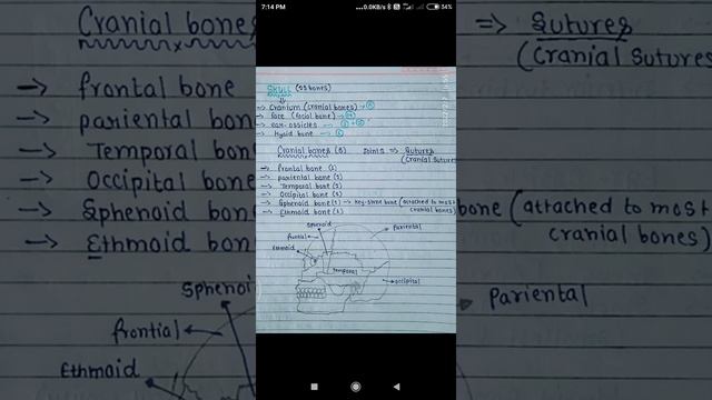 Important Notes Class 11 Th About {axial Bone }®®💪