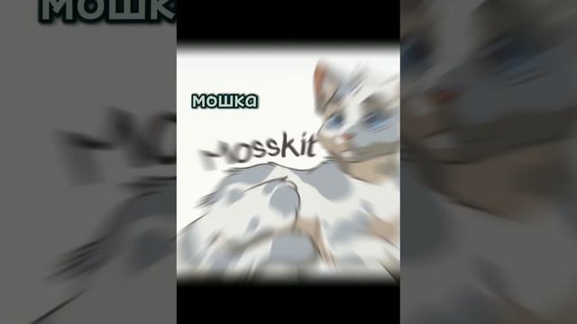 смерти котов воителей 2 часть