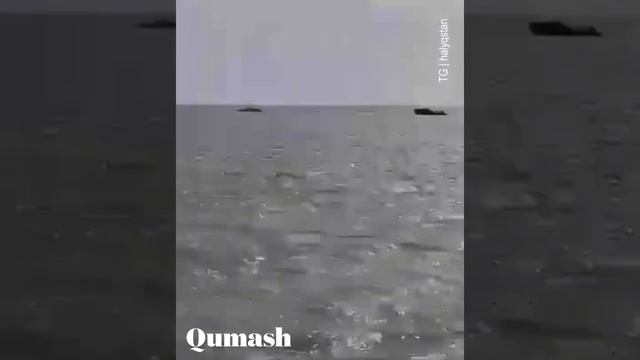 10 авто под водой в Атырауской области: видео прокомментировали в МЧС