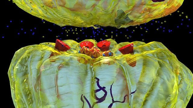 A0fc86c52087e759b3a343bdc639bfca