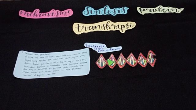 STOPMOTION SINTESIS PROTEIN KELOMPOK 5 XII MIPA 3