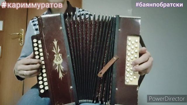 ВИНОВАТА ЛИ Я  - РАЗБОР НА ГАРМОНИ ЦИФРАМИ #баянпобратски #кариммуратов