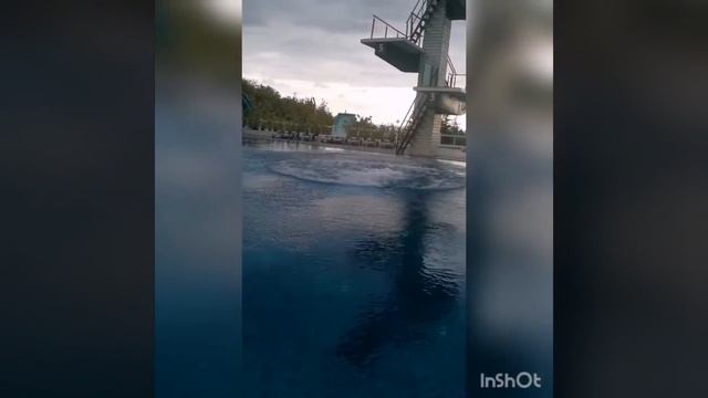 Опасный прыжок с вышки в воду/ Как надо прыгать с вышки