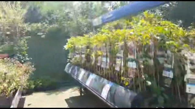 F880e5b36fcaf6c6801a9894a76a51e5