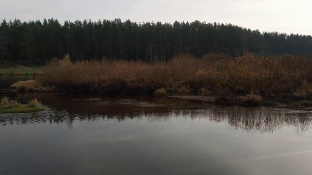 20 октября 2019 года. Река Тьма. 17 градусов тепла.(1)