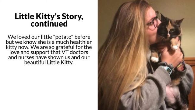 Feline Obesity Study - Photos and Testimonials