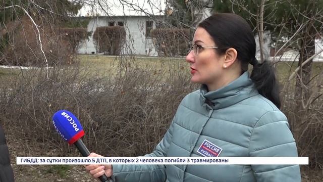 В Кузбассе с приходом тепла просыпаются гадюки: советы специалиста,что делать при встрече со змеями