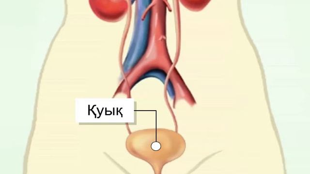 Fbc10bb3c5295f98fe538c98617b0cb5