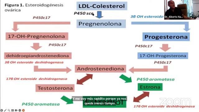 Esteroidogénesis Webinar Del Doctor Alberto Najar