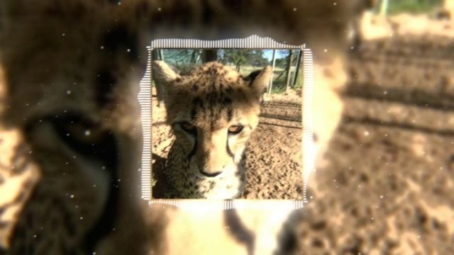 UKA UKA - YXUNGXROTICA, ZODIVK, Mс Pogba