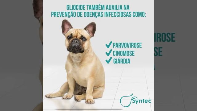 Desinfetante E Eliminador De Odores Gliocide