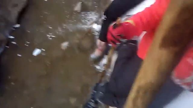 Ручей под слоем льда