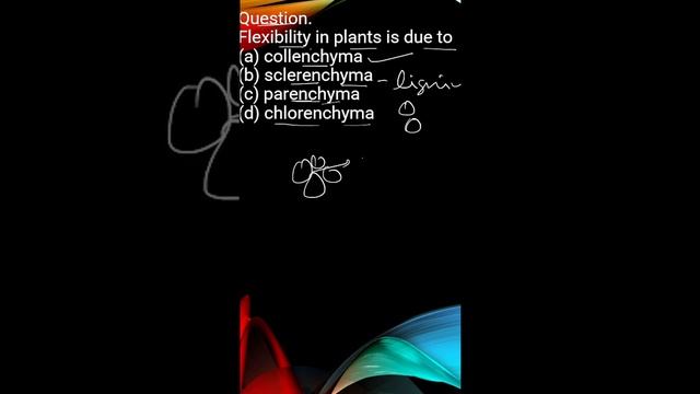 99ee1cc134194e972cbdc54bf140dbf8