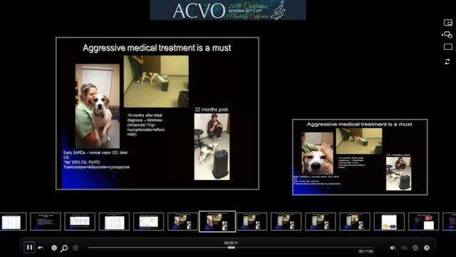 Treatment Of Sudden Acquired Retinal Degeneration Syndrome In Dogs