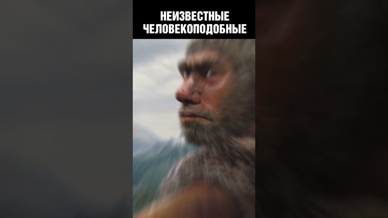 Учёные нашли останки человекоподобных существ